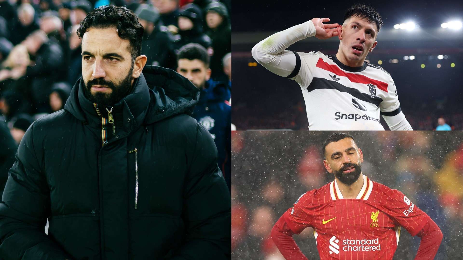 划赢得了相 划赢得了相